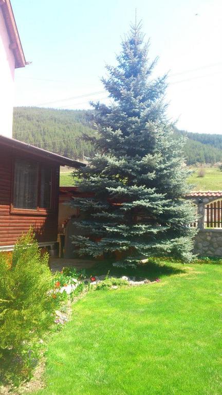 Guest House Diva Reka Beli Iskar Exterior foto